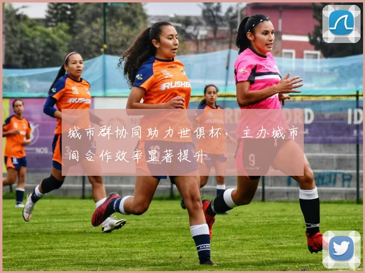 城市群协同助力世俱杯，主办城市间合作效率显著提升