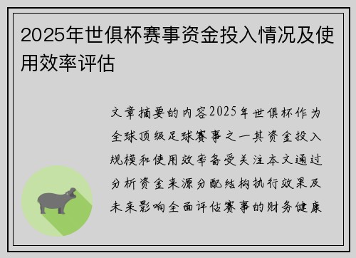 2025年世俱杯赛事资金投入情况及使用效率评估
